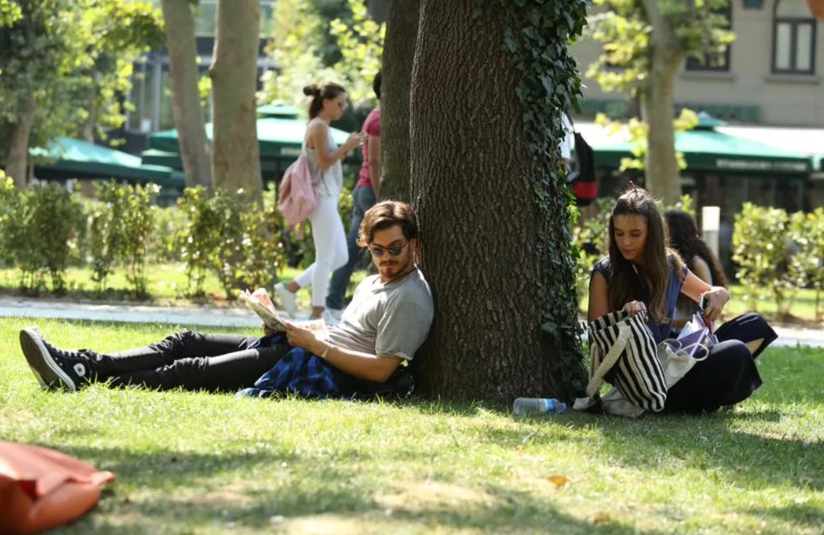 Кадр из Дикий мёд