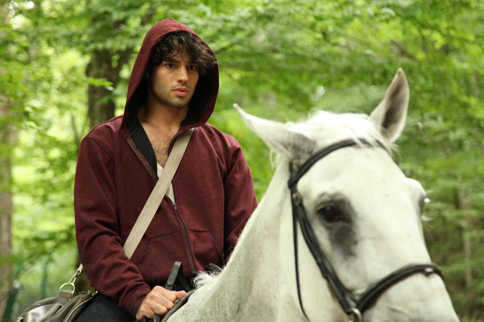 Кадр из Милая и опасная